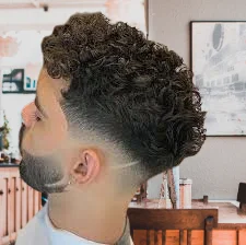 Stylish Curly Hair with Faded Undercut